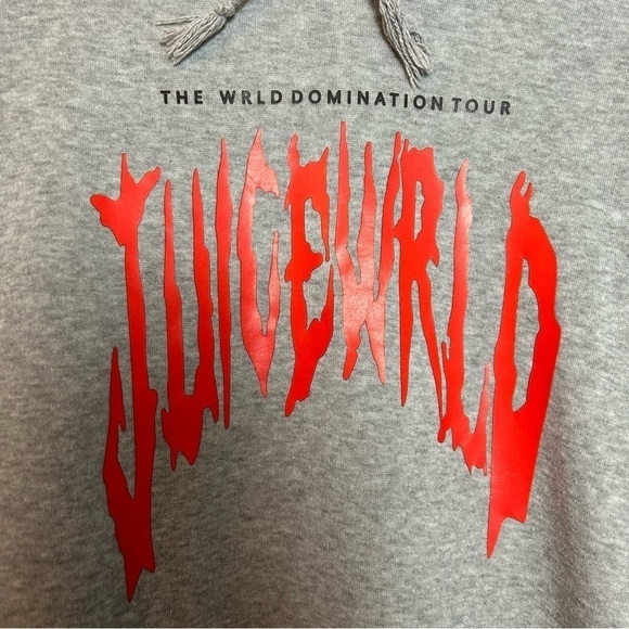 JUICEWORLD The World Domination Tour Gray Hoodie Sz. L - Picture 2 of 12
